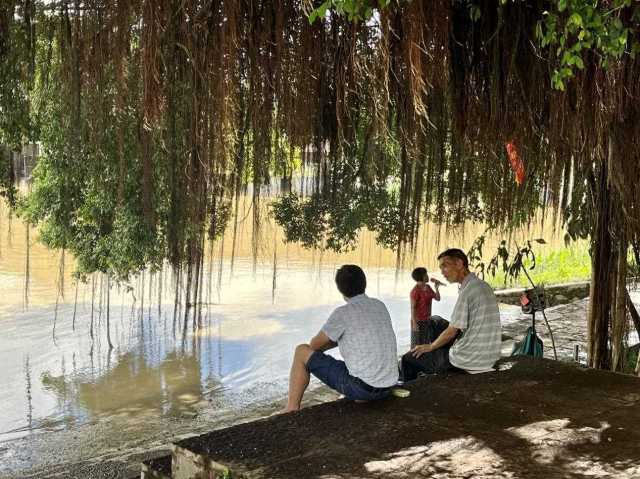 村民在大榕樹下乘涼聊天，黃姨（中）在岸邊唱歌。伍思懿 攝 