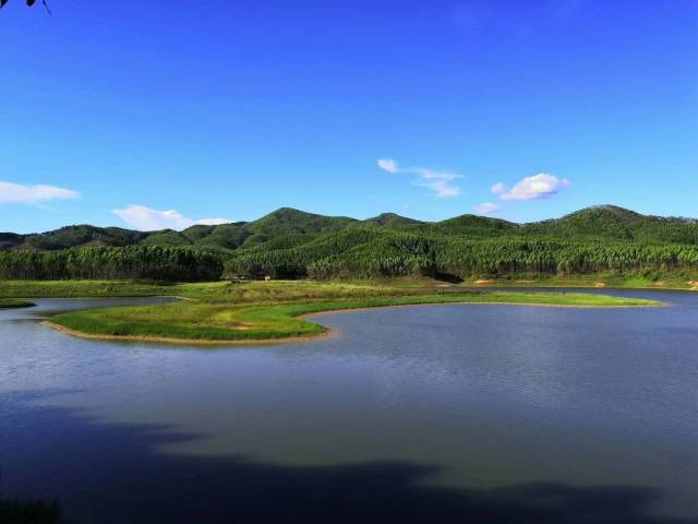 沙塘鎮(zhèn)龍眼坑水庫