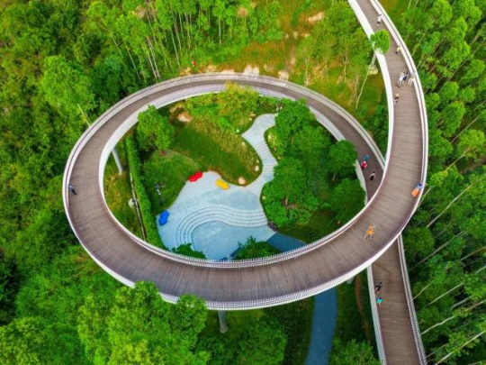 珠海紅花山森林公園。圖源：南方+ 