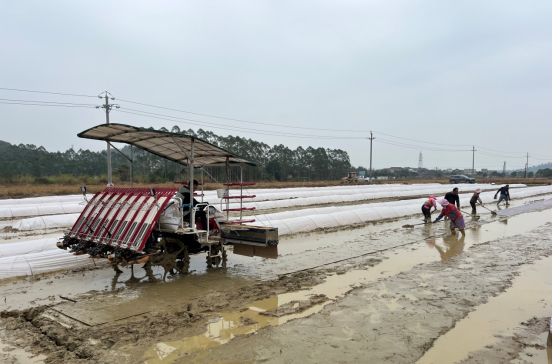 自動轉(zhuǎn)存圖片