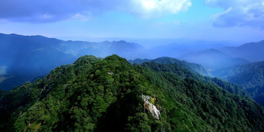 國(guó)際生物多樣性日 | 廣東物種“家底”有多厚？