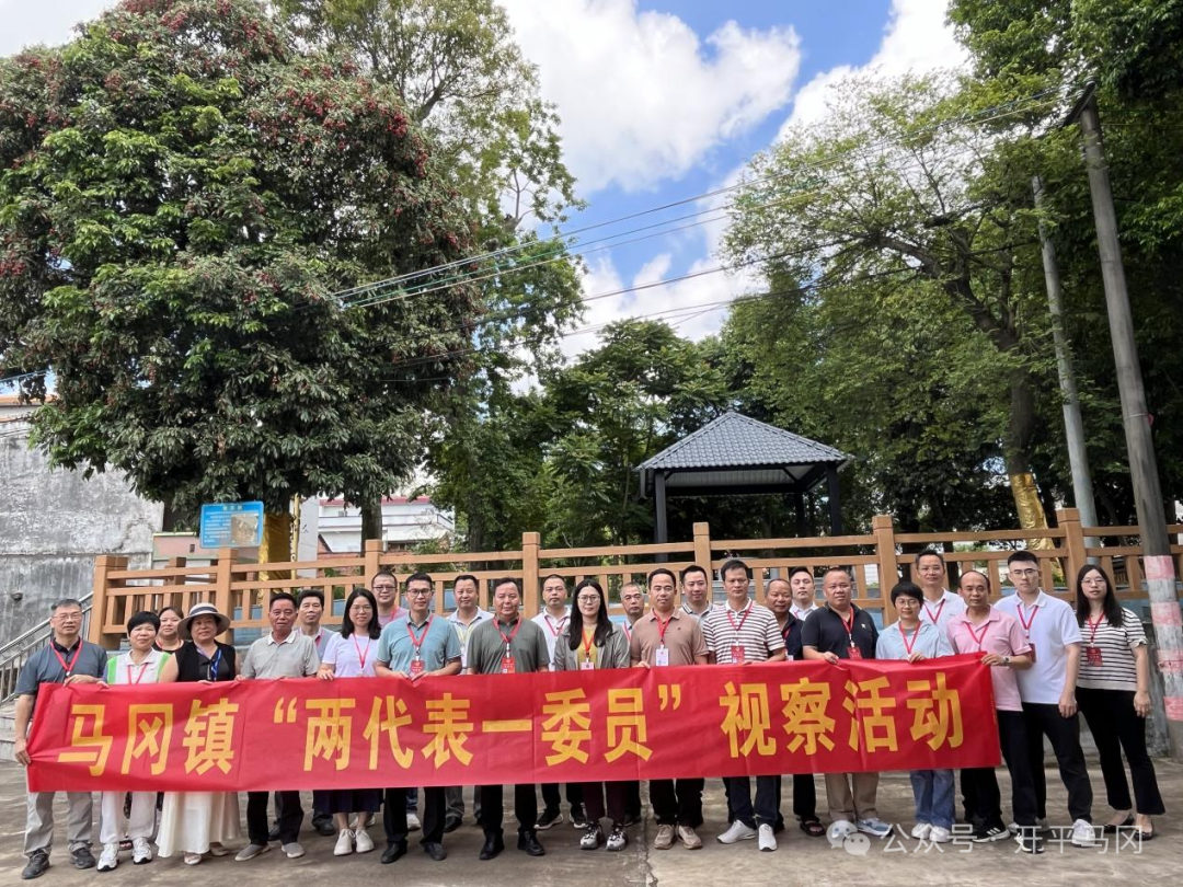 深入一線督項(xiàng)目 集智聚力促民生——馬岡鎮(zhèn)開展第二季度“兩代表一委員”集中視察活動(dòng) border=