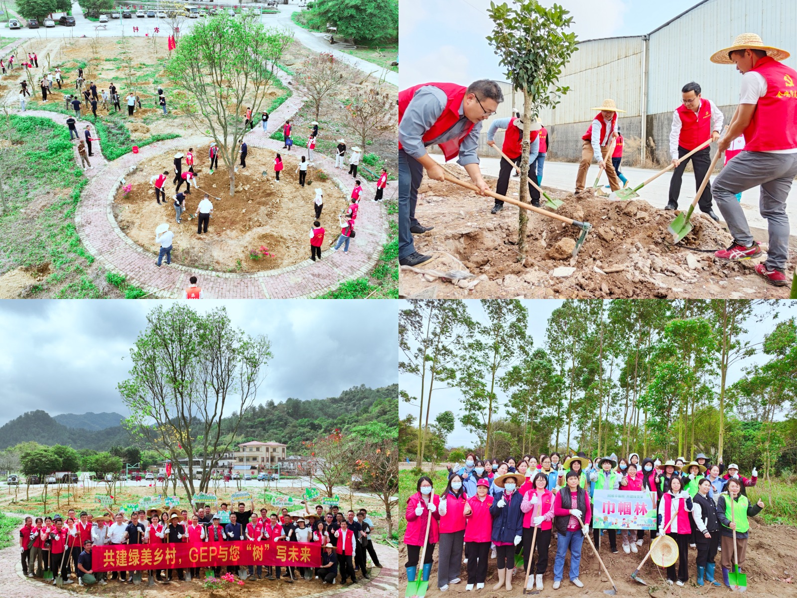 開(kāi)展植綠增綠行動(dòng).jpg