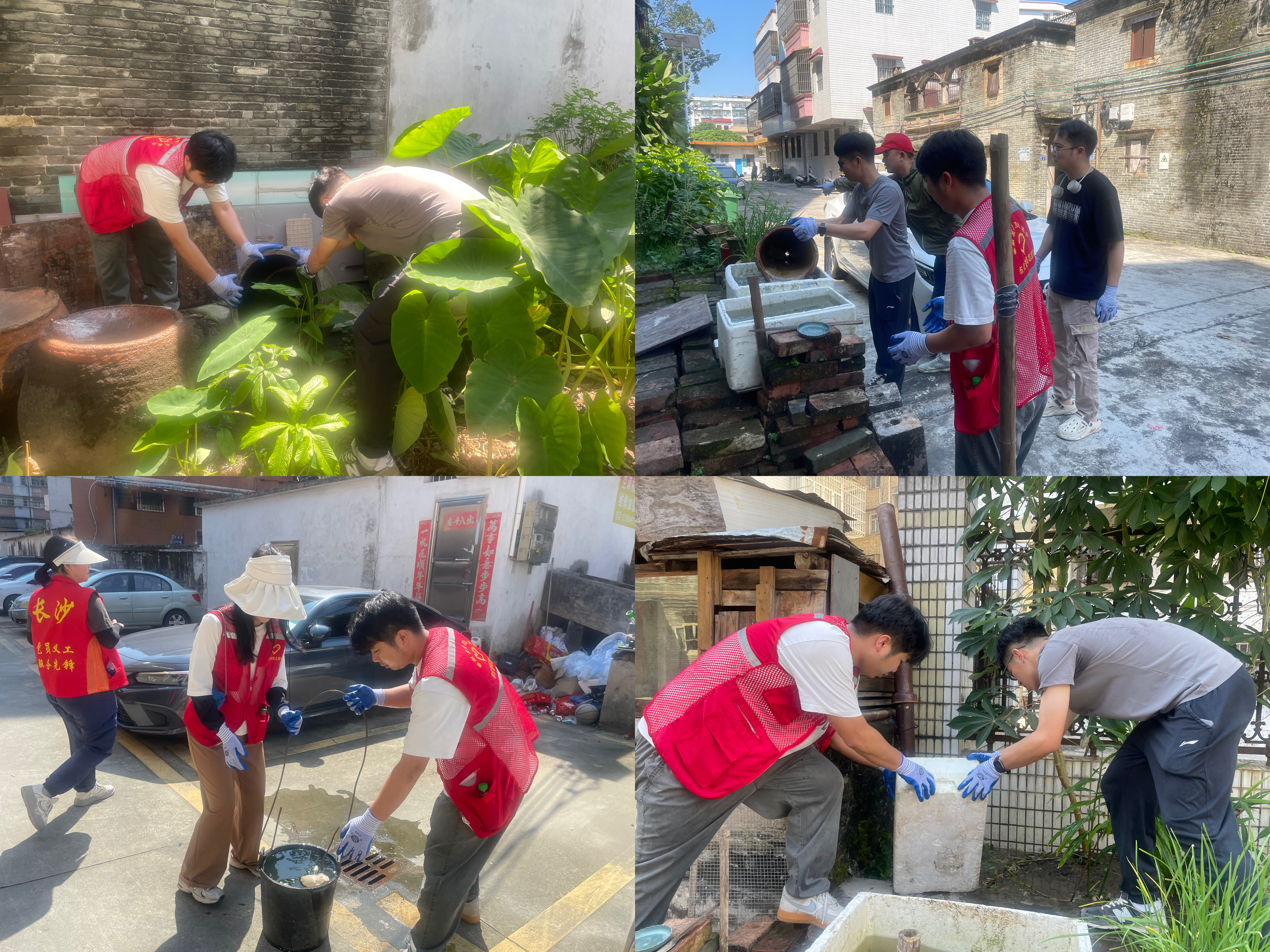 2025.07.25 防蚊滅蚊行動.jpg