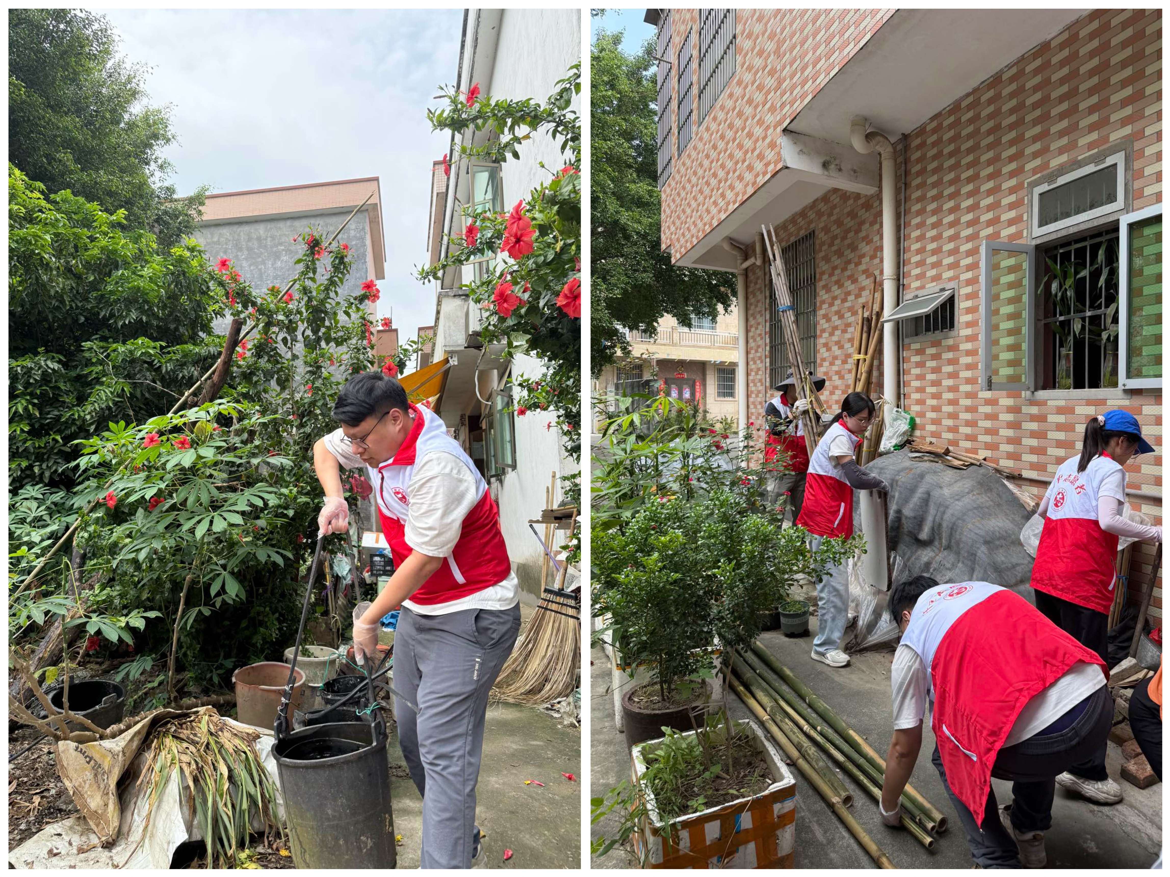 法治護航，筑牢蚊媒防控“健康墻”