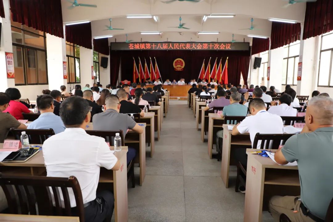 蒼城鎮(zhèn)第十八屆人民代表大會第十次會議勝利召開