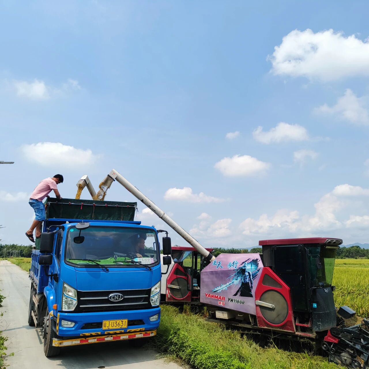 【中國(guó)農(nóng)民豐收節(jié)】龍勝鎮(zhèn)“新農(nóng)人”典型代表展播（第二期）