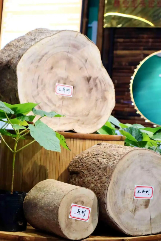 自動(dòng)轉(zhuǎn)存圖片